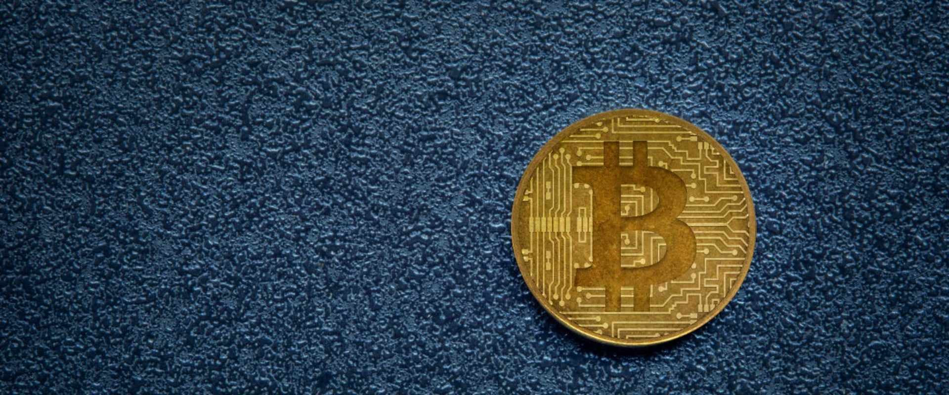 Which Crypto Wallet Holds the Most Coins?