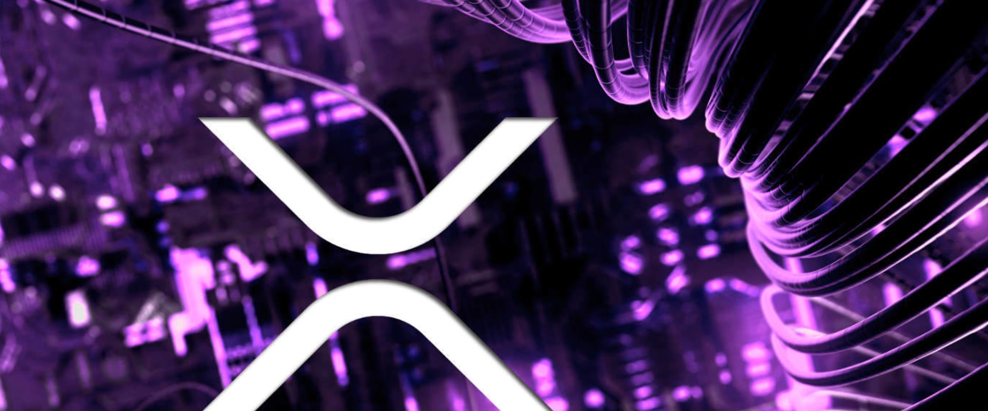 What Crypto Wallets Support XRP?
