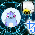 Why Do I Need a Crypto Wallet?