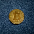 Which Crypto Wallet Supports the Most Coins?